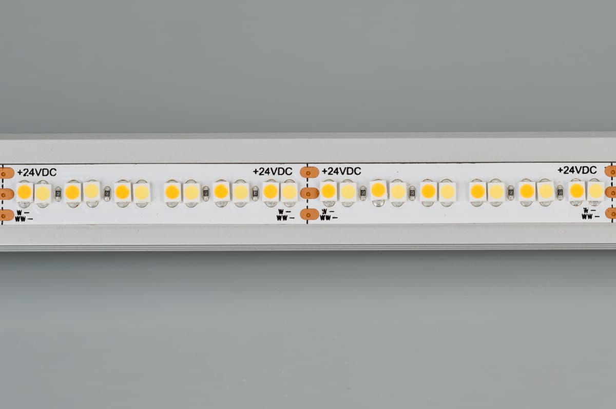 Светодиодная лента RT 6-5000 24V White-MIX 4x (3528, 240 LED/m, LUX) (Arlight, Изменяемая ЦТ) 025210 — фото 2