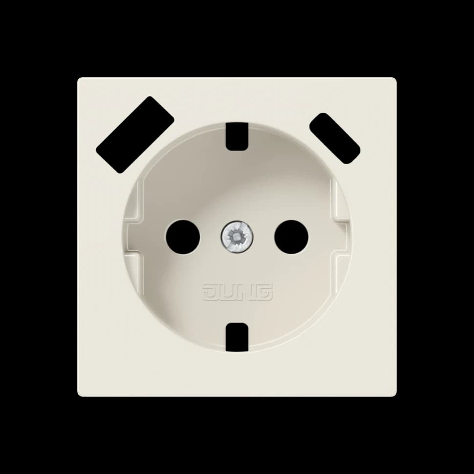 Jung Центральная накладка для SCHUKO USB CA, A1520-15CAPL A1520-15CAPL