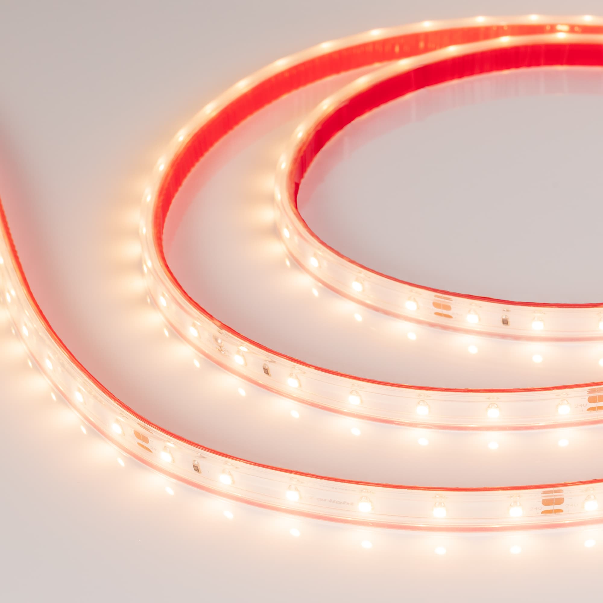 Светодиодная лента RTW 2-5000PS-50m 24V Warm2700 (3528, 60 LED/m, LUX) (Arlight, 4.8 Вт/м, IP67) 024566 — фото 2