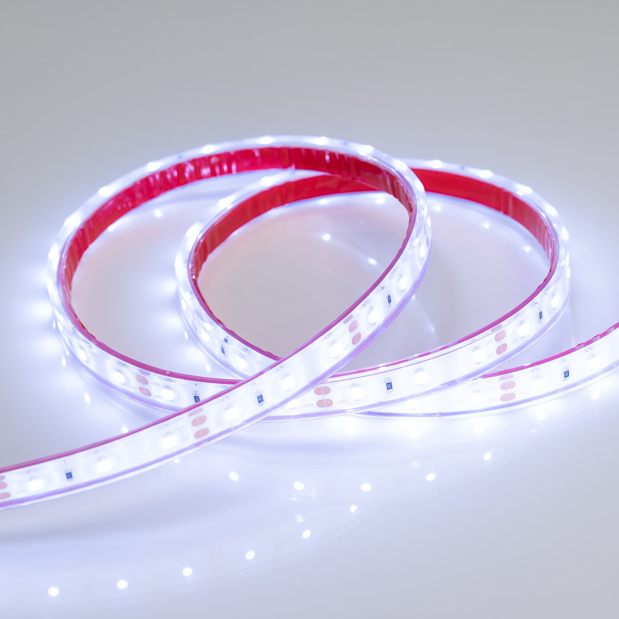 Светодиодная лента RTW 2-5000PGS 12V Cool (3528, 300 LED, LUX) (Arlight, 4.8 Вт/м, IP67) 016839 — фото 2