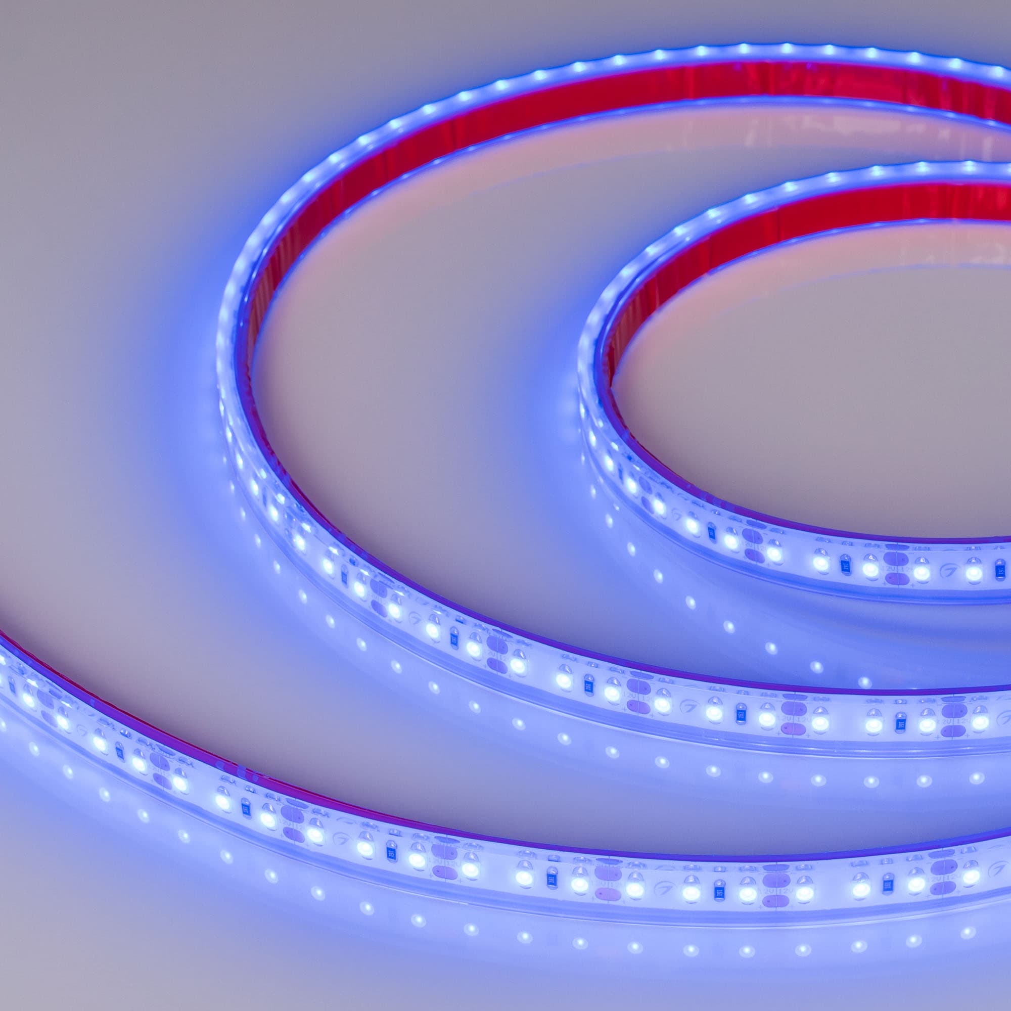 Светодиодная лента RTW 2-5000PGS 12V Blue 2x (3528, 600 LED) (Arlight, 9.6 Вт/м, IP67) 013392 — фото 3