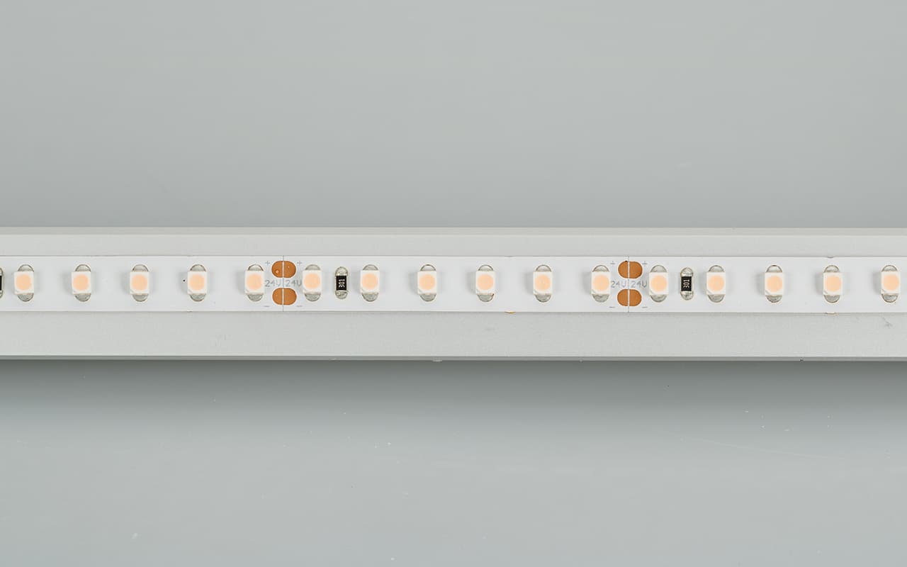 Светодиодная лента RT 2-5000 24V Cool 8K 2x (3528, 600 LED, LUX) (Arlight, 9.6 Вт/м, IP20) 013747 — фото 2