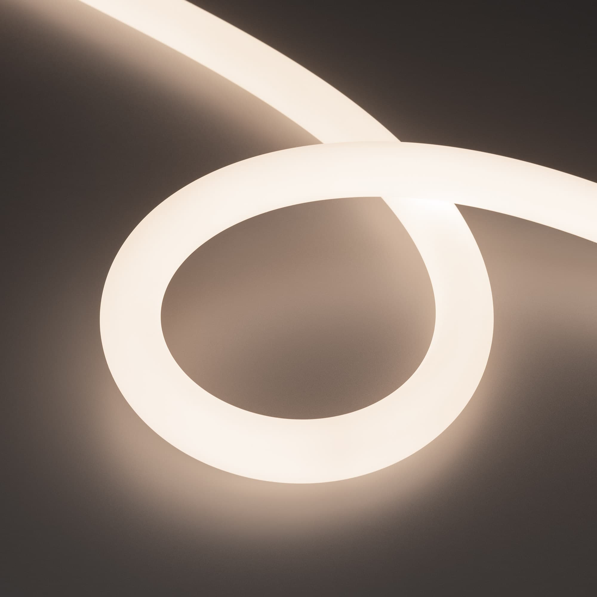 Светодиодная лента герметичная MOONLIGHT-TOP-A336-D25mm 48V Day4000 360deg (12.5 W/m, IP65, 2835, 20m, wire x1) (Arlight, Вывод прямой, 3 года) 039439