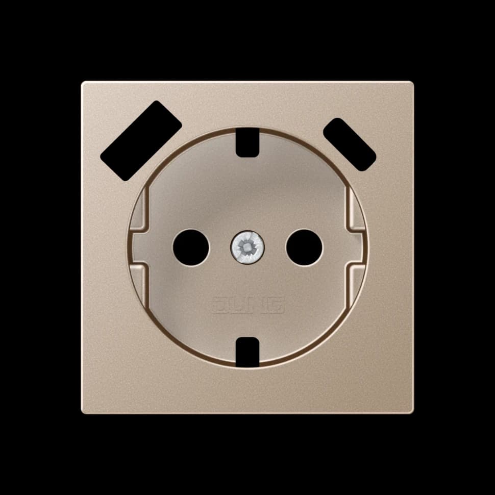 Jung Центральная накладка для SCHUKO USB CA, A1520-15CAPLCH A1520-15CAPLCH