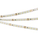 Светодиодная лента RT 2-5000 24V White6000 2x (3528, 600 LED, LUX) (Arlight, 9.6 Вт/м, IP20) 010347