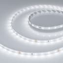 Светодиодная лента RT-A60-8mm 24V White6000 (4.8 W/m, IP20, 2835, 50m) (Arlight, 4.8 Вт/м, IP20) 024581(2)