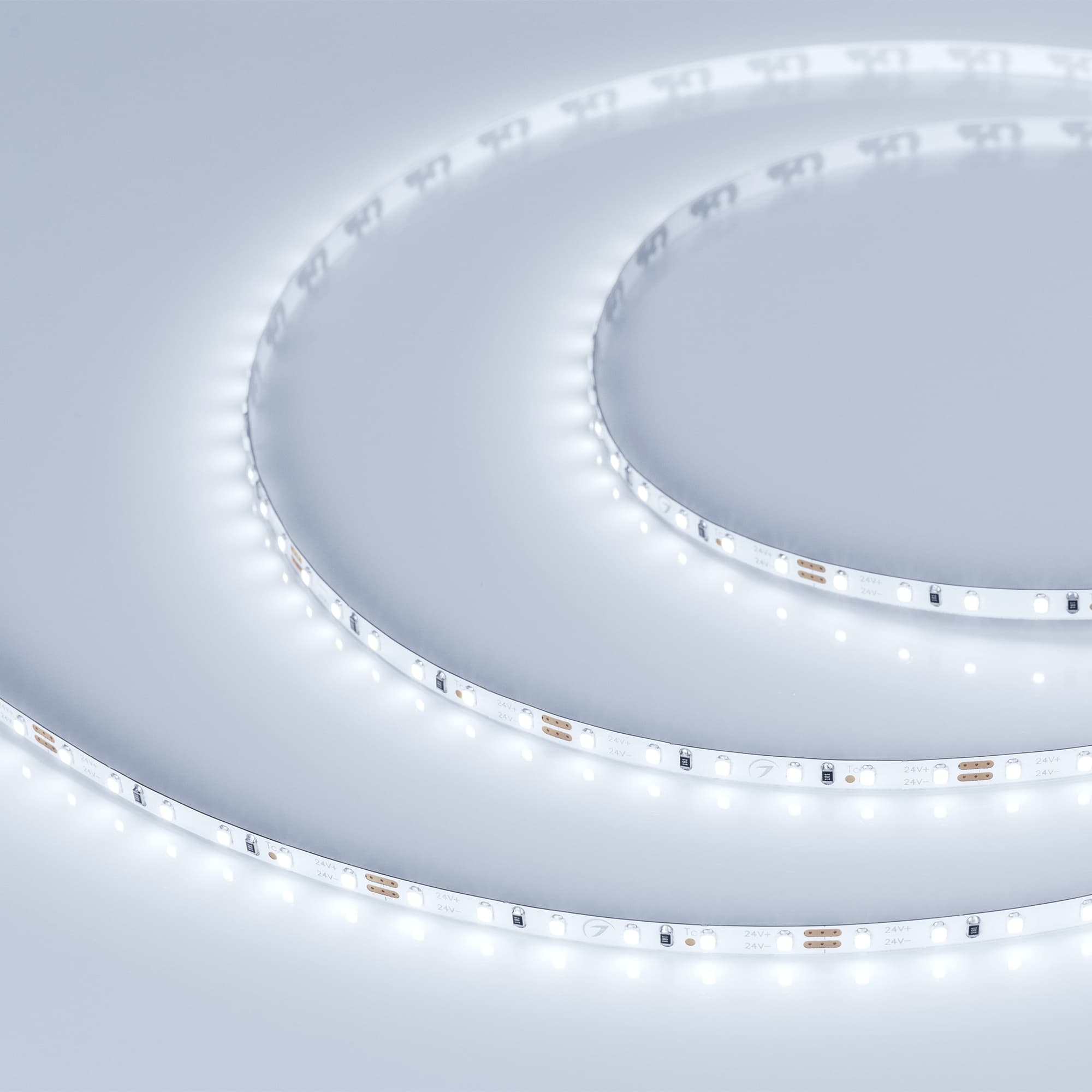 Светодиодная лента MICROLED-5000 24V Cool 8K 4mm (2216, 120 LED/m, LUX) (Arlight, 9.6 Вт/м, IP20) 024409 — фото 1