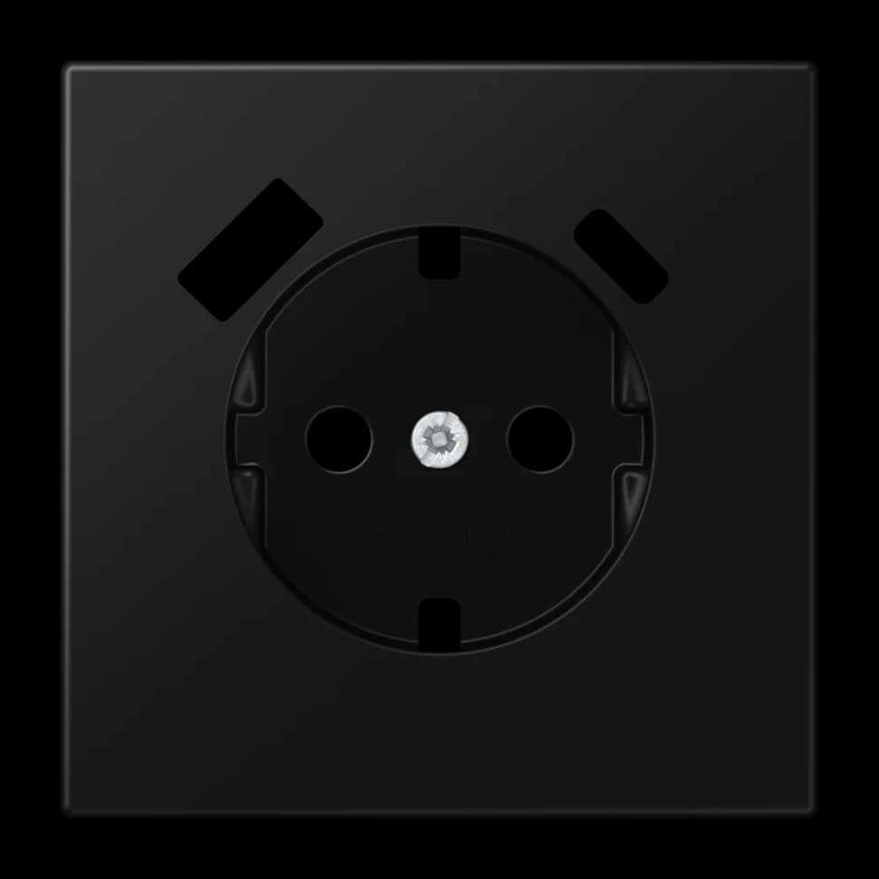 Jung Центральная накладка для SCHUKO USB CA, LS1520-15CAPLSWM LS1520-15CAPLSWM