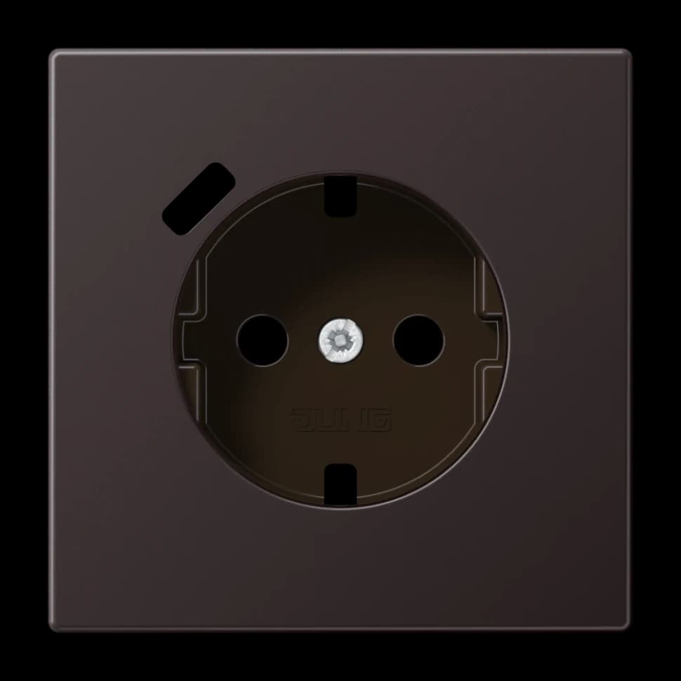 Jung Центральная накладка для SCHUKO USB C, AL1520-18CPLD AL1520-18CPLD