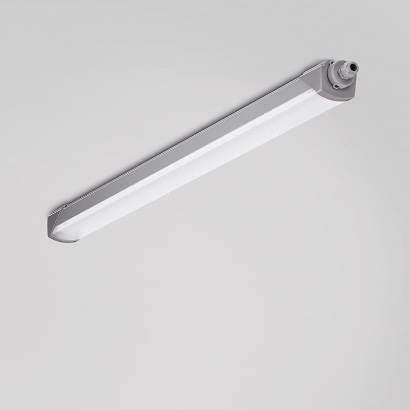 Quattrobi PROTECTOR Quattrobi