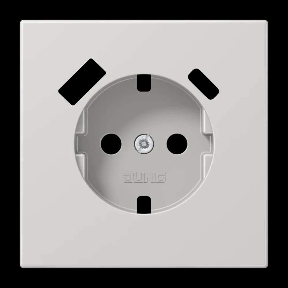Jung Центральная накладка для SCHUKO USB CA, LS1520-15CAPLLG LS1520-15CAPLLG