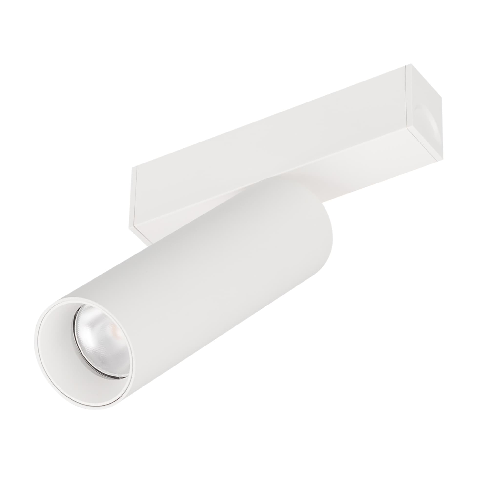 Светильник MAG-SPOT-25-R120-12W Day4000 (WH, 30 deg, 24V) (Arlight, IP20 Металл, 5 лет) 050076