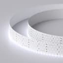 Светодиодная лента RT 2-2500 24V Cool 8K 5x2 (2835, 875 LED, LUX) (Arlight, 36 Вт/м, IP20) 019083