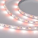 Светодиодная лента RT-B60-10mm 24V RGBW-Day (14.4 W/m, IP20, 5060, 5m) (Arlight, Открытый) 018326(2)