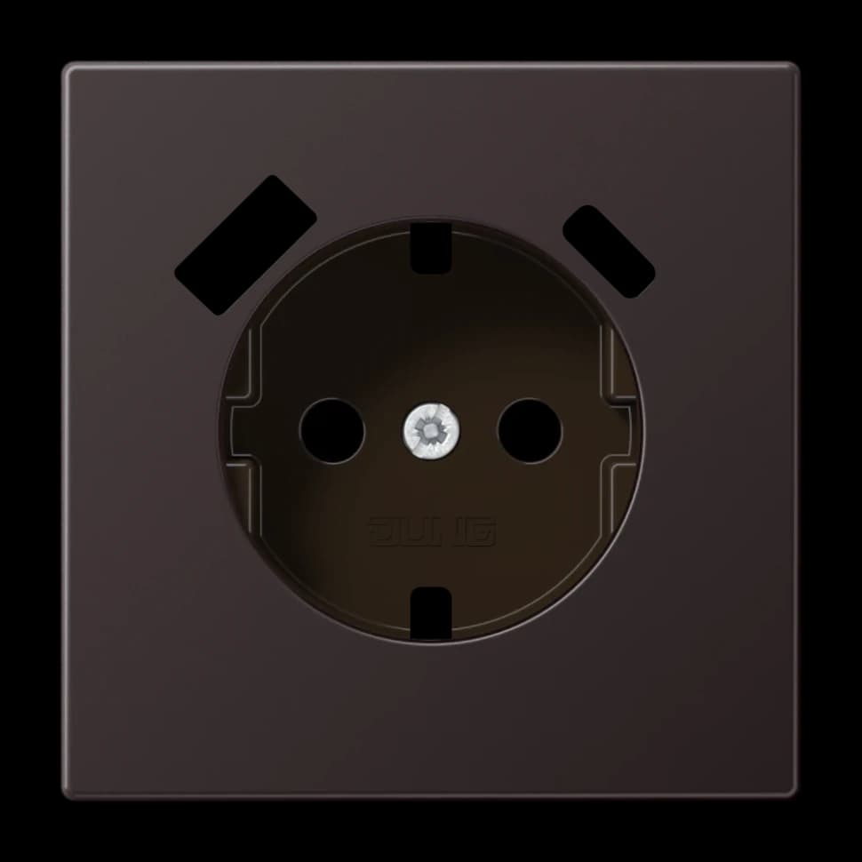 Jung Центральная накладка для SCHUKO USB CA, AL1520-15CAPLD AL1520-15CAPLD