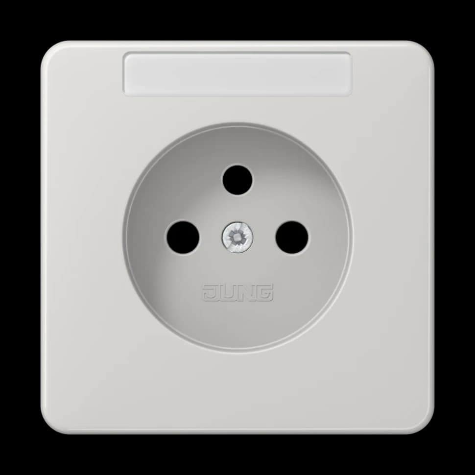 Jung Центральная накладка, CD1521FKINALGP1 CD1521FKINALGP1