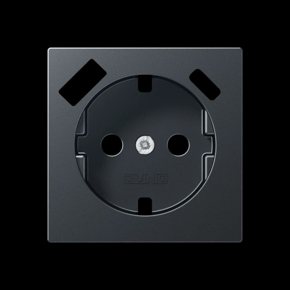 Jung Центральная накладка для SCHUKO USB CA, A1520-15CAPLANM A1520-15CAPLANM