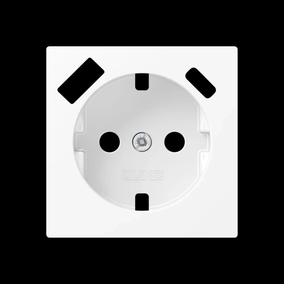 Jung Центральная накладка для SCHUKO USB CA, A1520-15CAPLWWM A1520-15CAPLWWM
