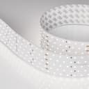 Светодиодная лента RT 2-2500 24V Day5000 5x2 (2835, 875 LED, CRI98) (Arlight, 36 Вт/м, IP20) 025162(1)