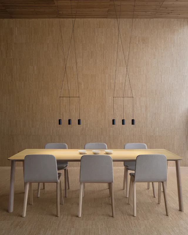 Vibia Wireflow lineal Vibia