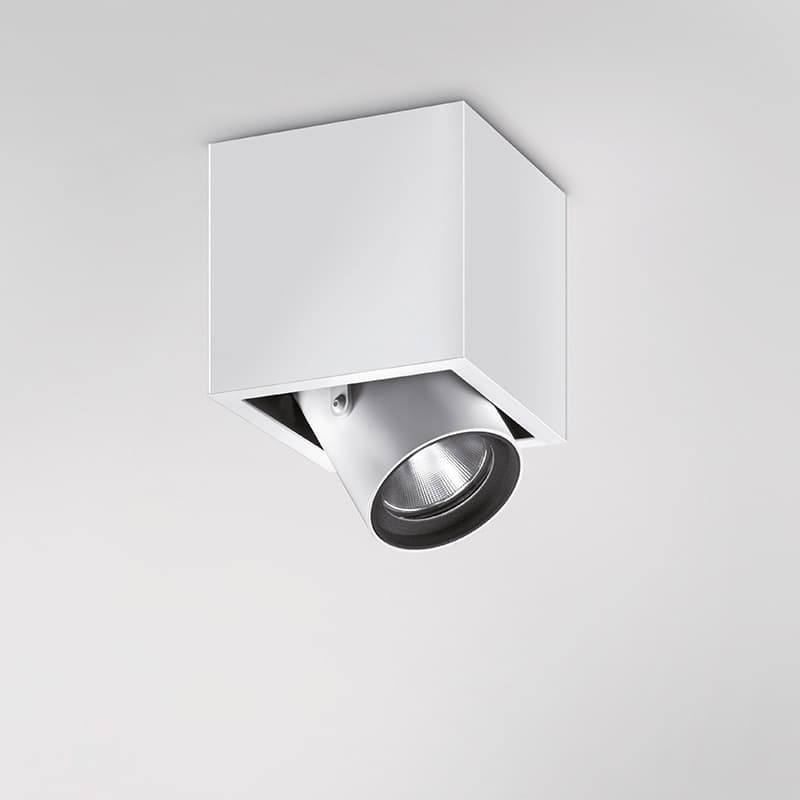 Quattrobi KOR PLAFONE single Quattrobi