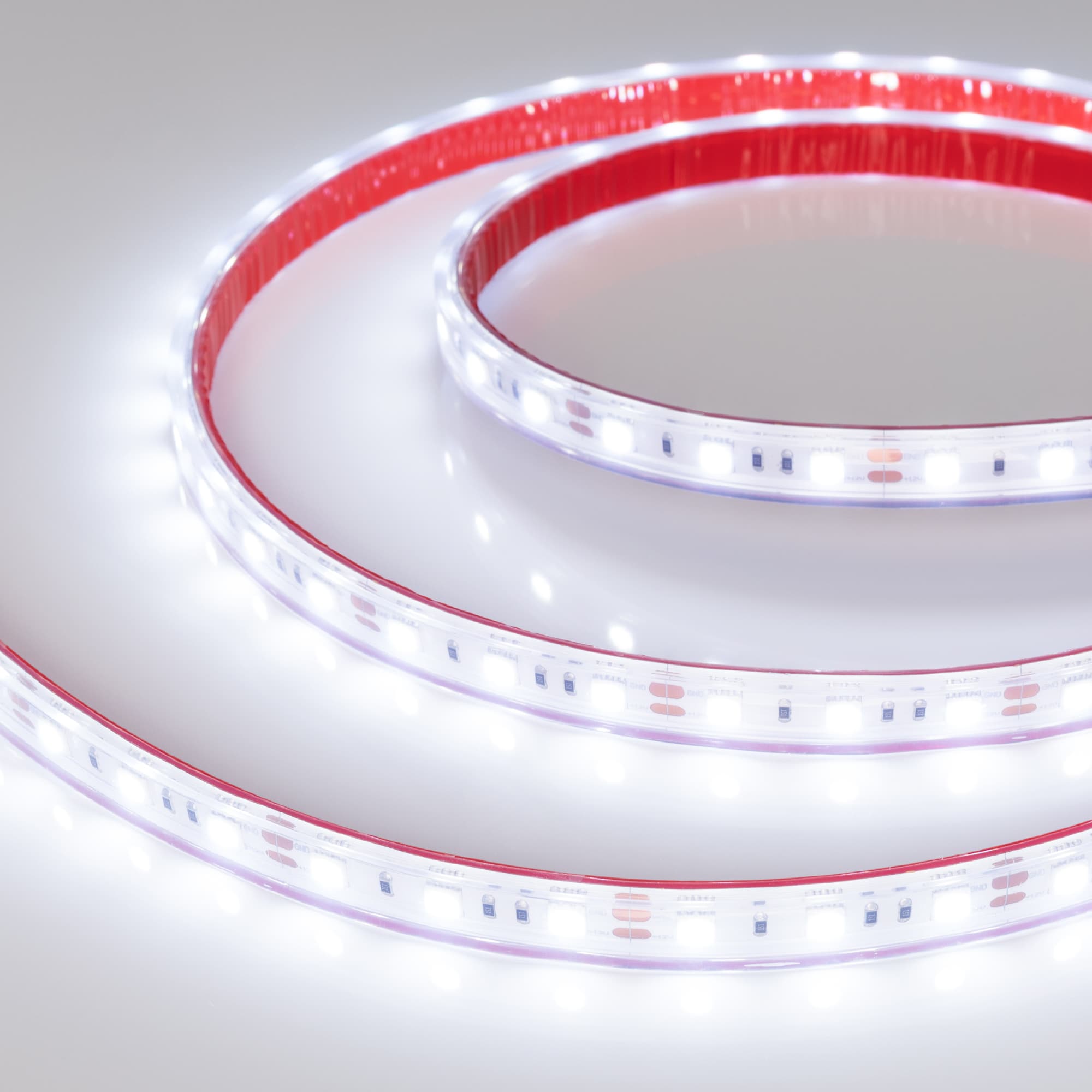 Светодиодная лента RTW 2-5000PS 12V Cool 8K 2x (5060, 300 LED, LUX) (Arlight, 14.4 Вт/м, IP67) 021401 — фото 2