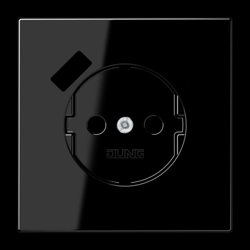 Jung Центральная накладка для SCHUKO USB CA, LS1520-15CAPLSW LS1520-15CAPLSW