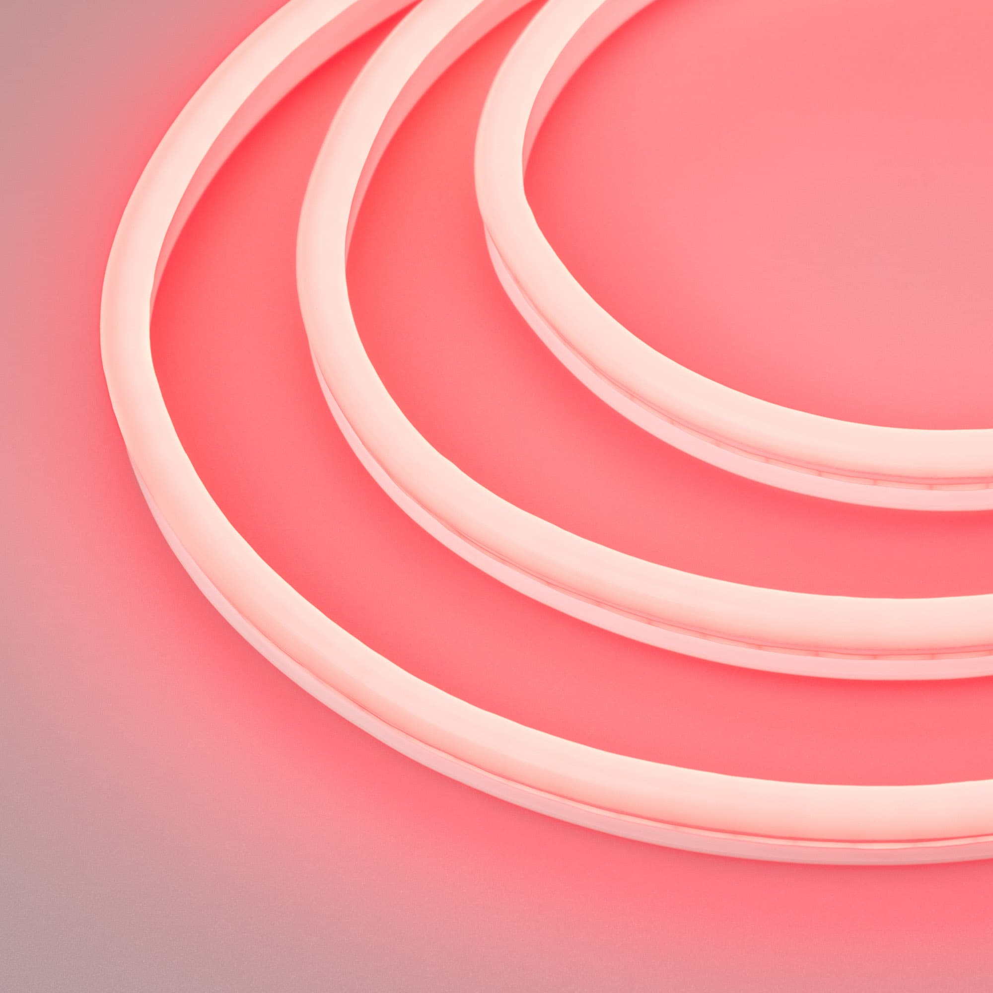 Образец Гибкий неон GALAXY-1608-5000CFS-2835-100 12V Red 0.5M (16x8mm, 12W, IP67) (Arlight, 12 Вт/м, IP67) 030971