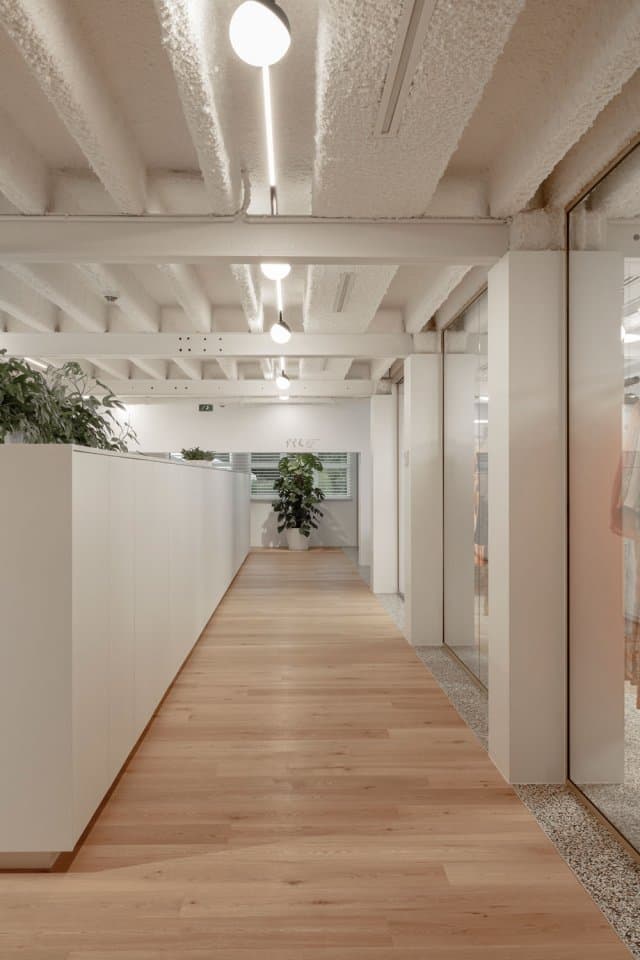 Delta Light GIBBO Delta Light — фото 9