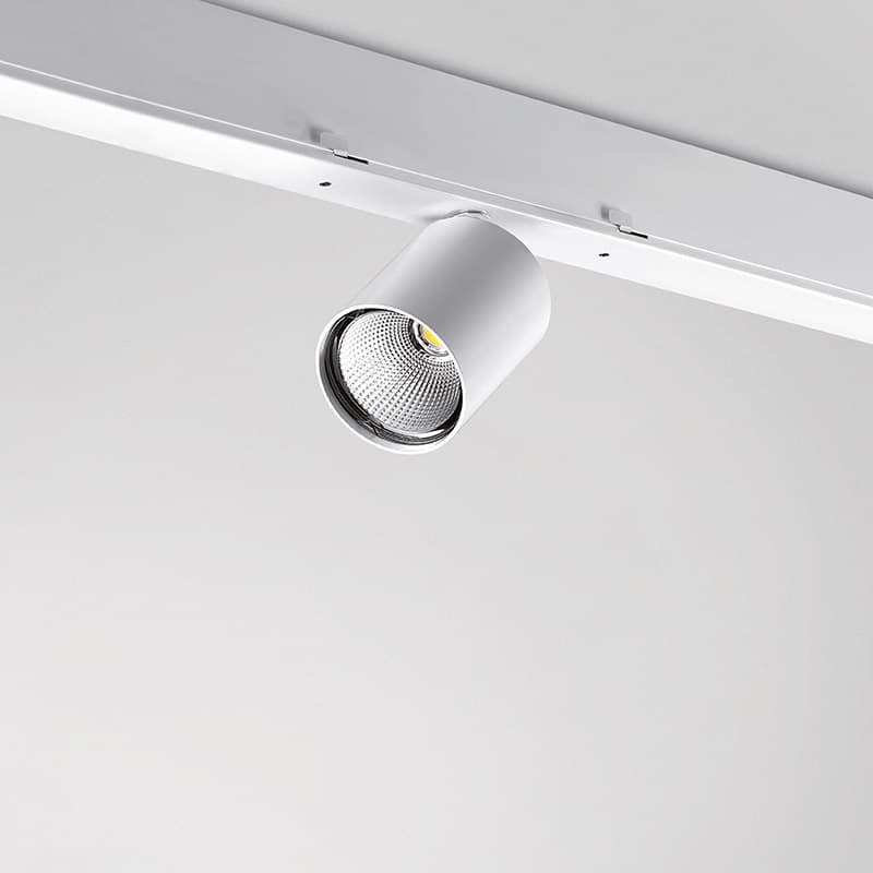 Quattrobi LINE evolution 02 Quattrobi