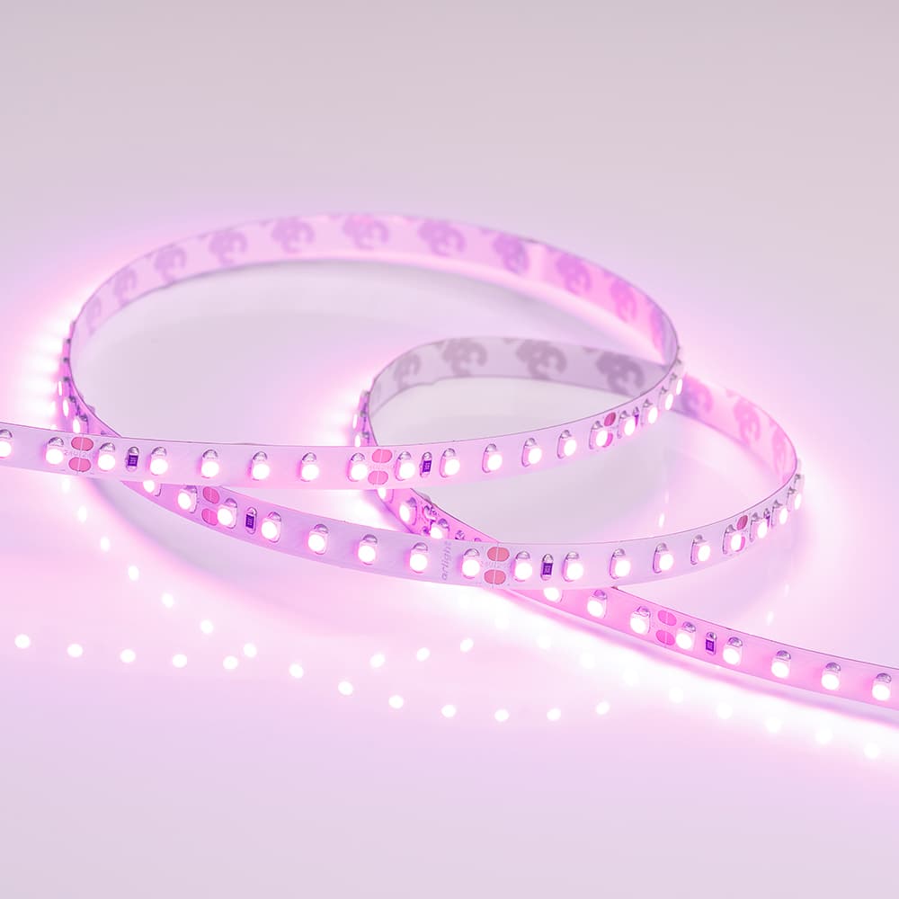Светодиодная лента RT 2-5000 24V Pink 2x (3528, 600 LED, LUX) (Arlight, 9.6 Вт/м, IP20) 015899 — фото 3