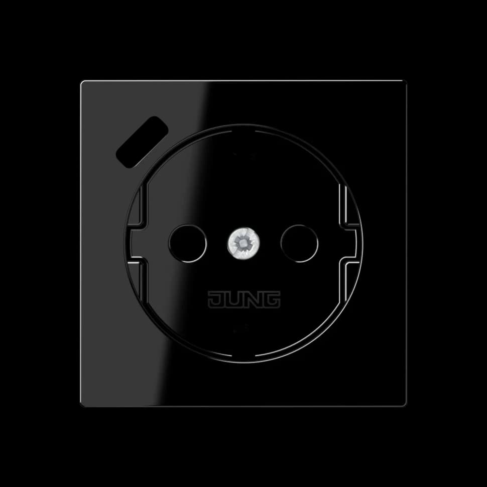 Jung Центральная накладка для SCHUKO USB C, A1520-18CPLSW A1520-18CPLSW
