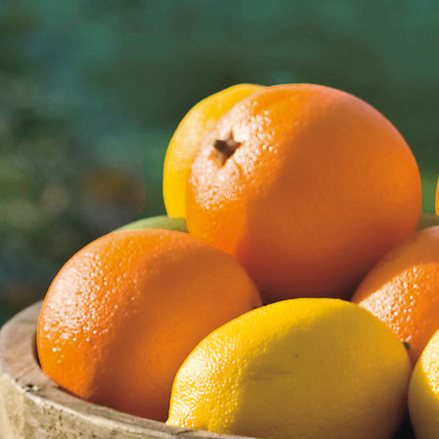 Adriani & Rossi Arance