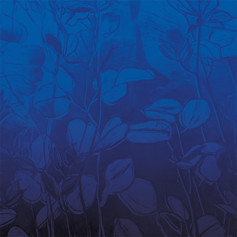 Adriani & Rossi Flowers color blue — фото 1