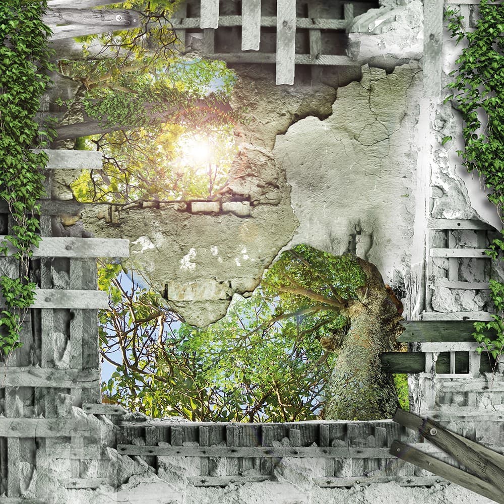 Adriani & Rossi Il cielo in una stanza_2 — фото 1