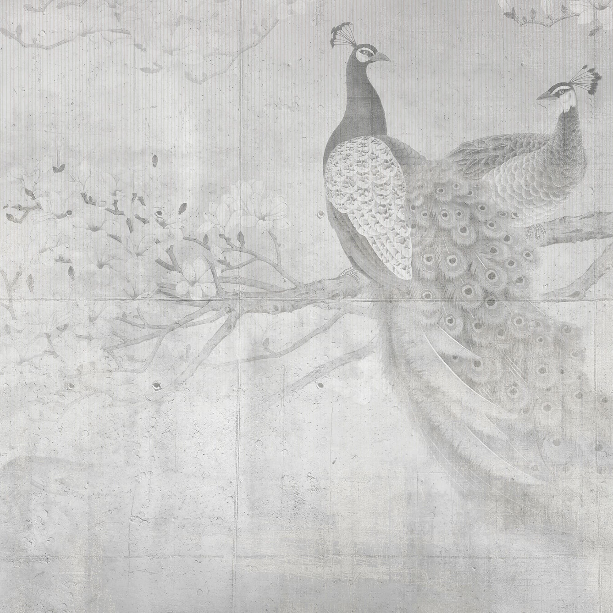 Adriani & Rossi Peacocks — фото 1