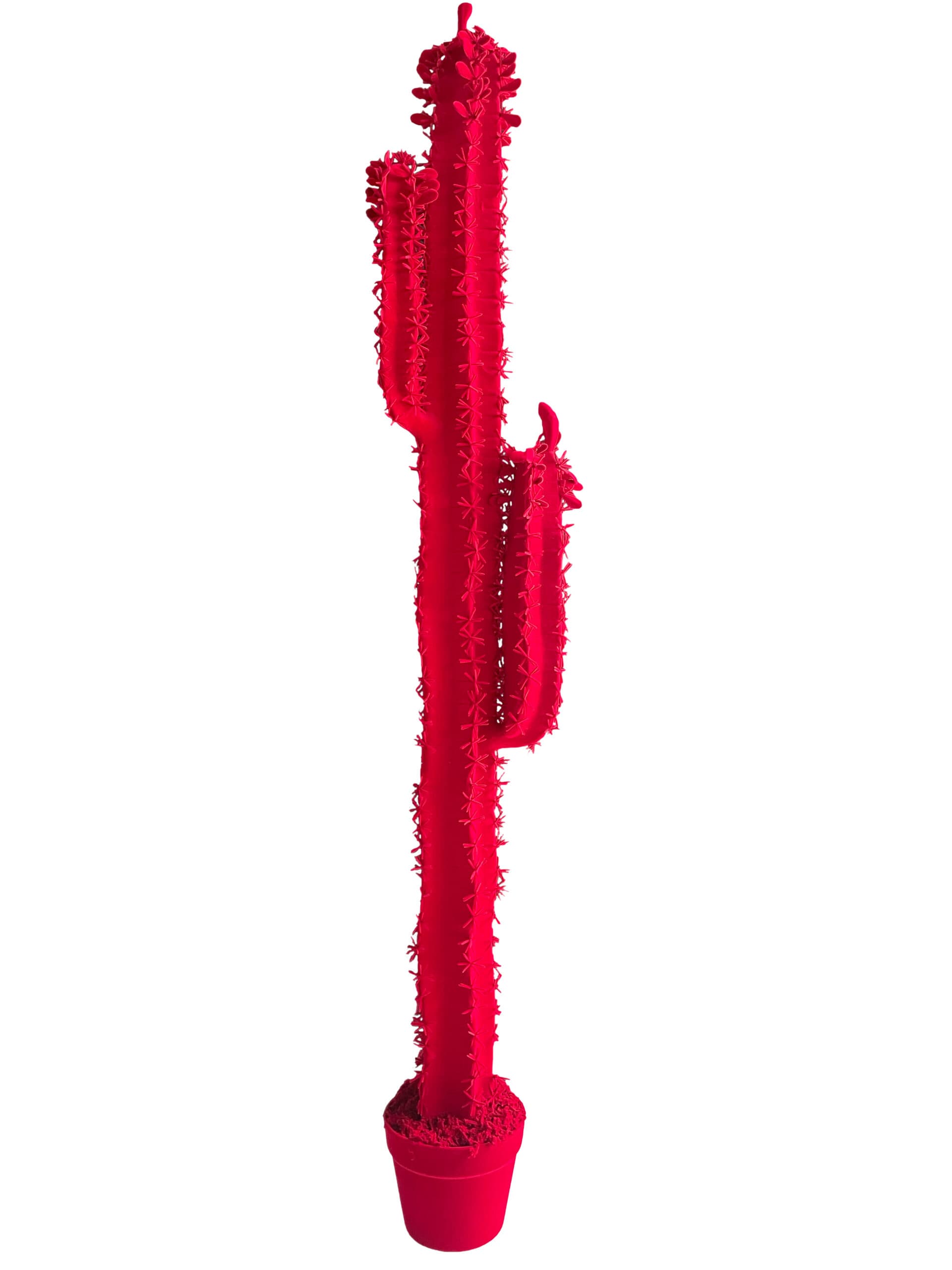 Adriani & Rossi Cactus Cereus h 153 cm