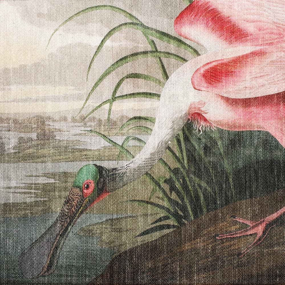 Adriani & Rossi Darwin_2 — фото 1