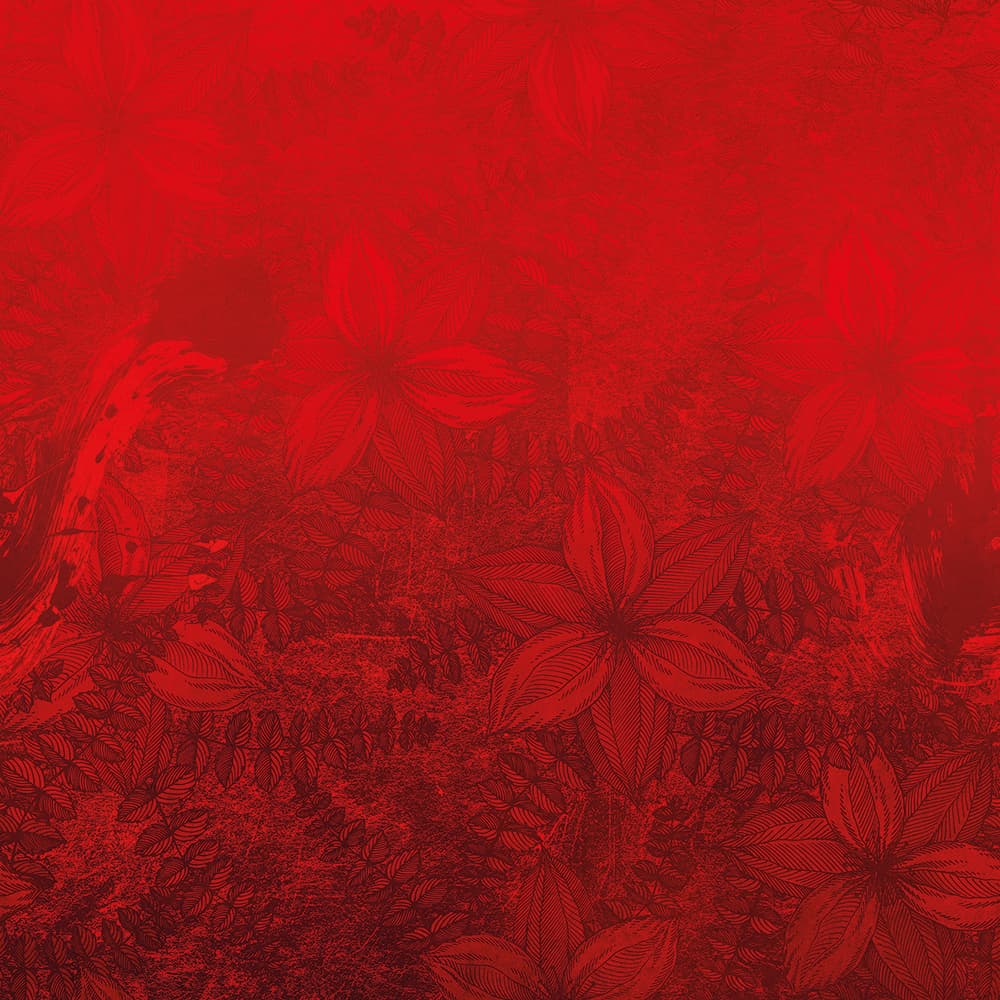 Adriani & Rossi Passion — фото 1