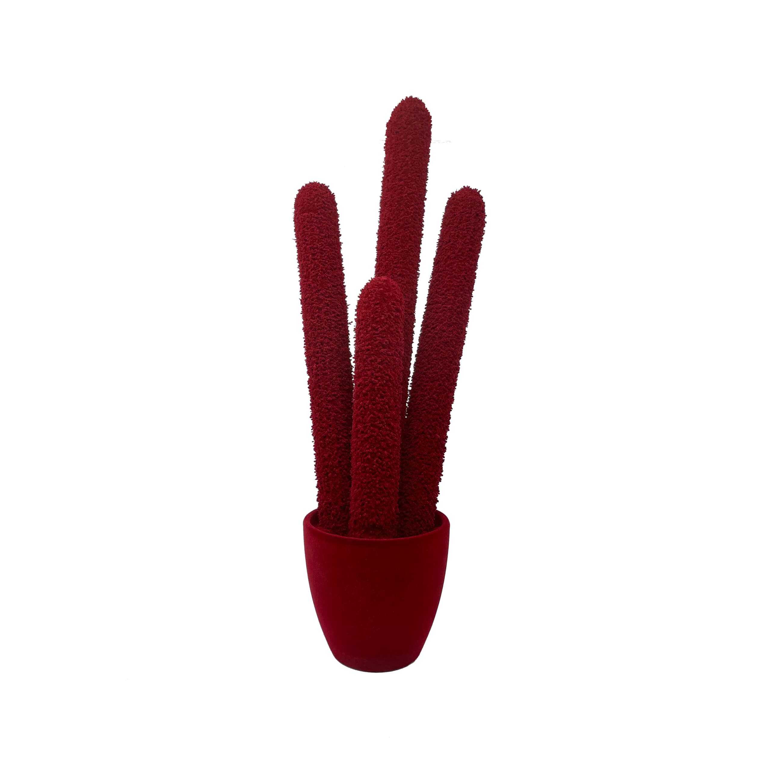 Adriani & Rossi Long Cactus Velvet