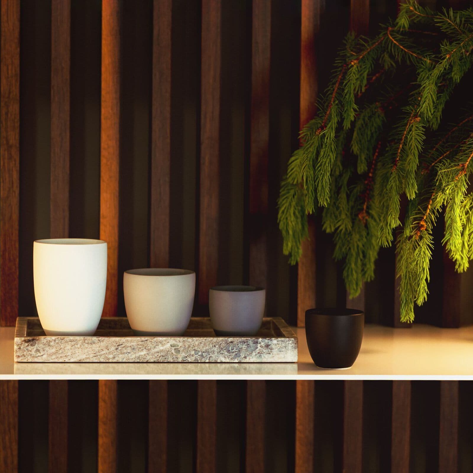 Rosenthal Lungo a doppia parete — фото 4