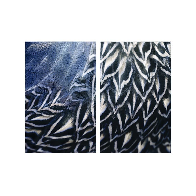 Adriani & Rossi Four season FS2106