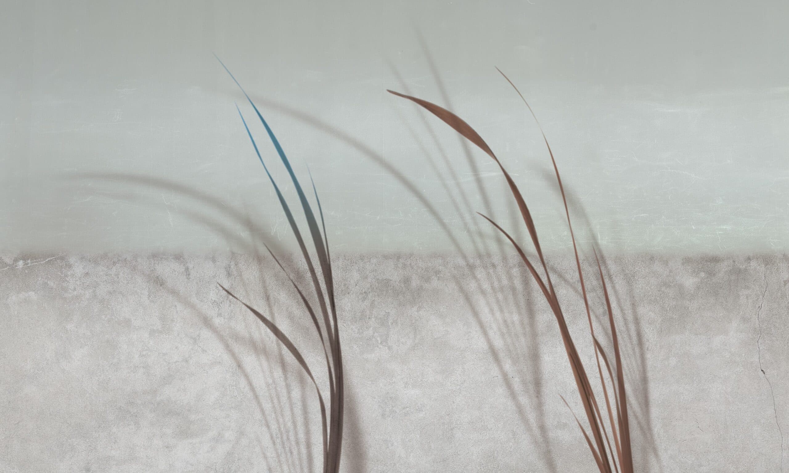 Adriani & Rossi Avant Gazon — фото 3