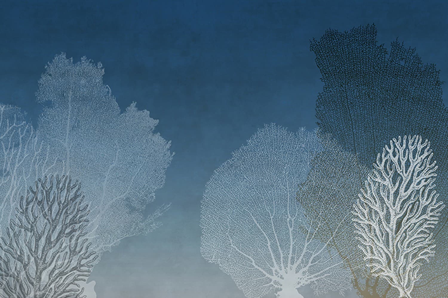 Adriani & Rossi Reef Blu — фото 2