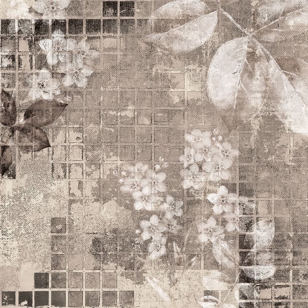 Adriani & Rossi Marajà_3