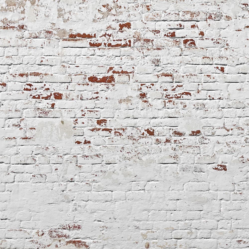 Adriani & Rossi Brick_3 — фото 1