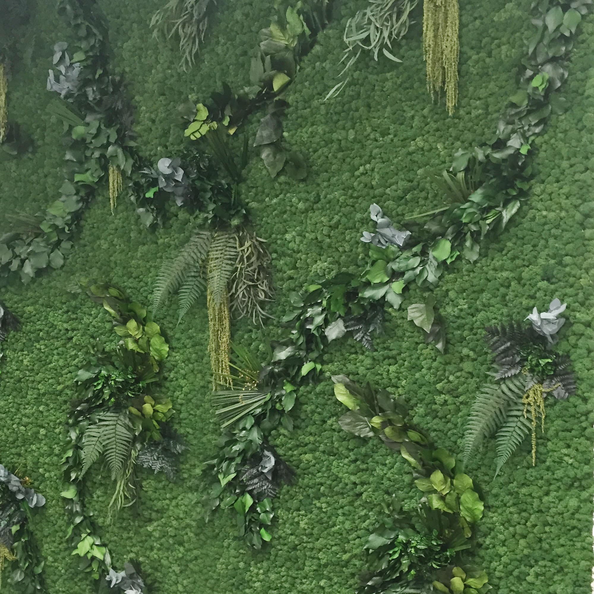 Adriani & Rossi Lichene con foglie — фото 1