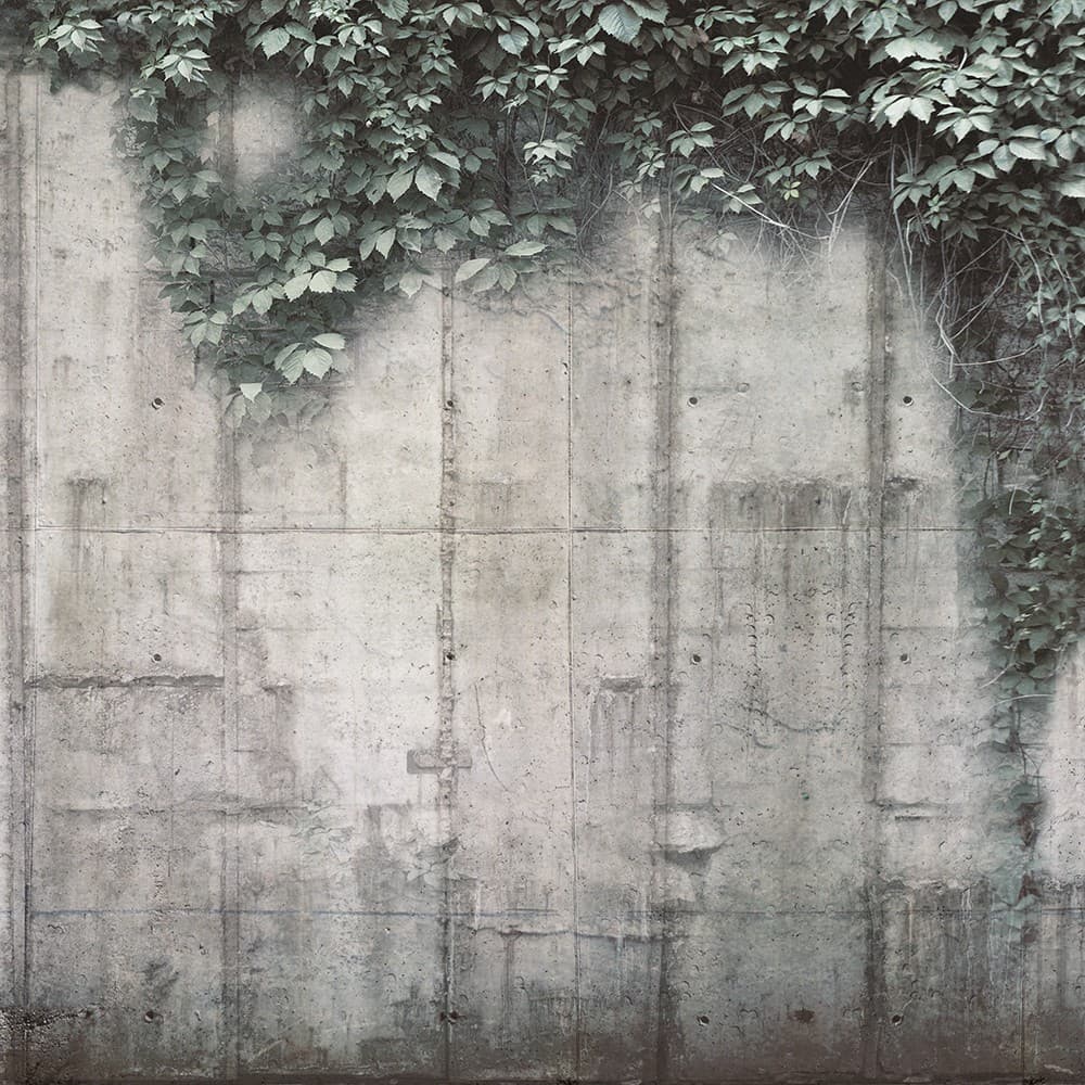 Adriani & Rossi Calatrava_1 — фото 1