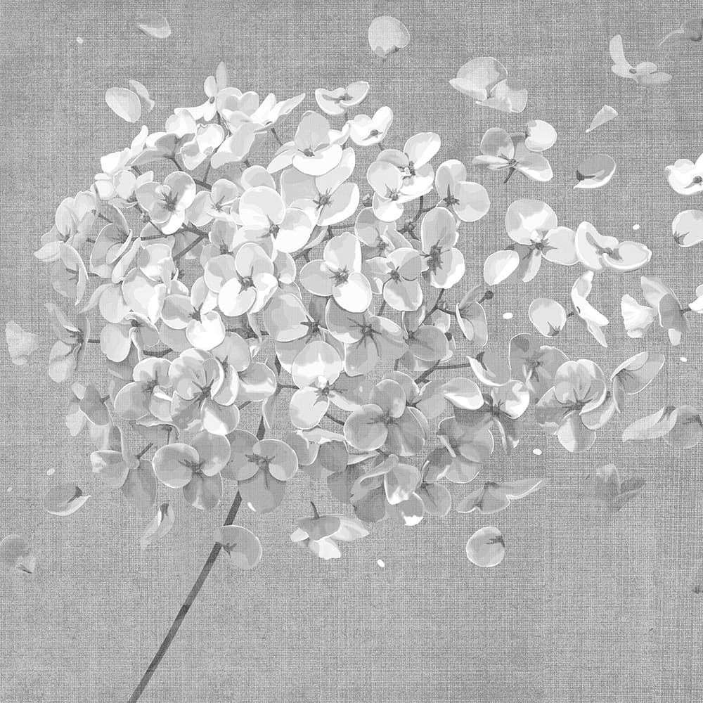 Adriani & Rossi Breath Flower Grey