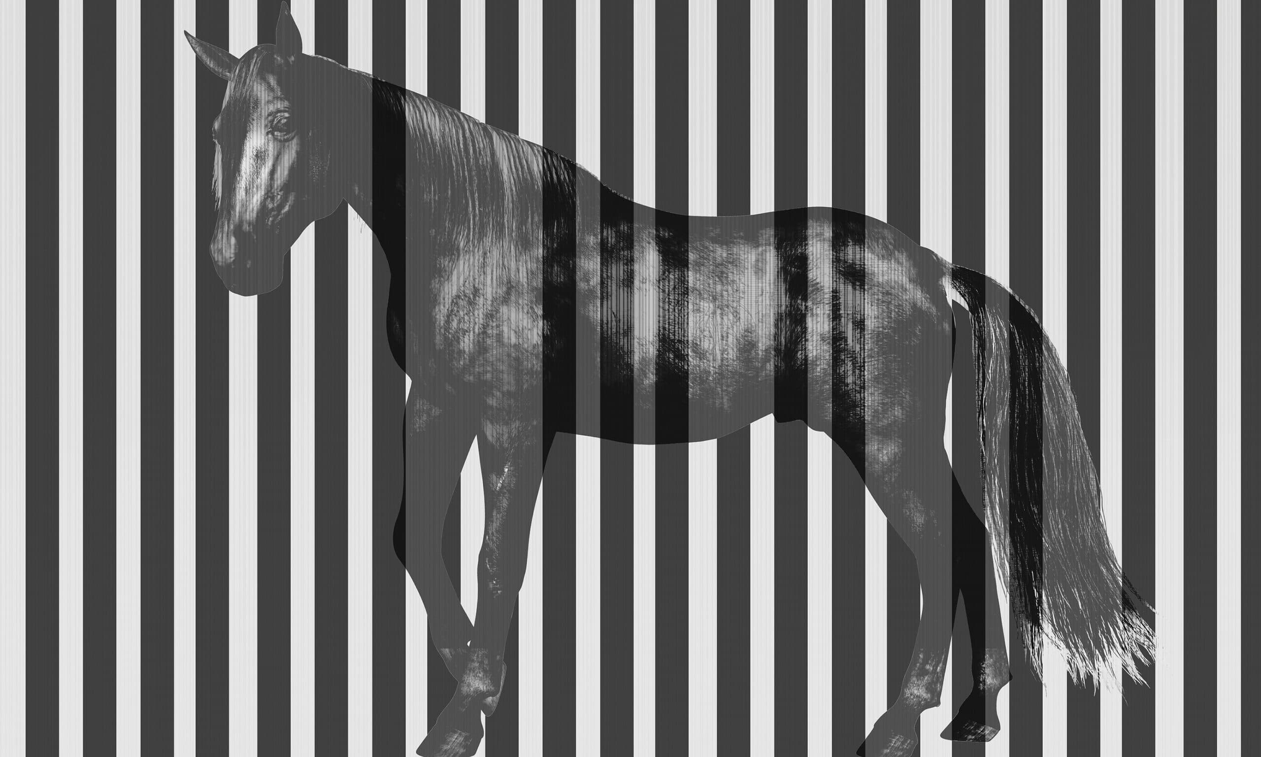 Adriani & Rossi Varen Line — фото 5